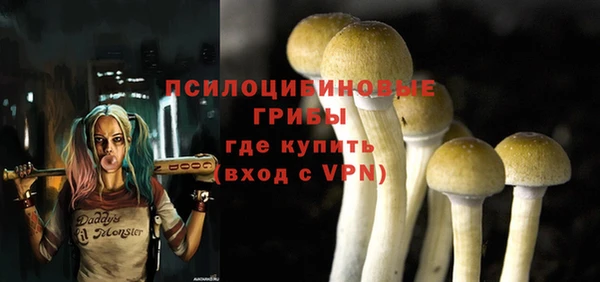 apvp Беломорск