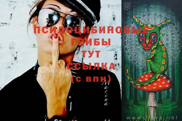 шишки Белоозёрский