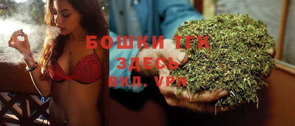 шишки Белоозёрский