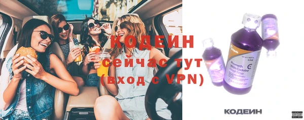 шишки Белоозёрский