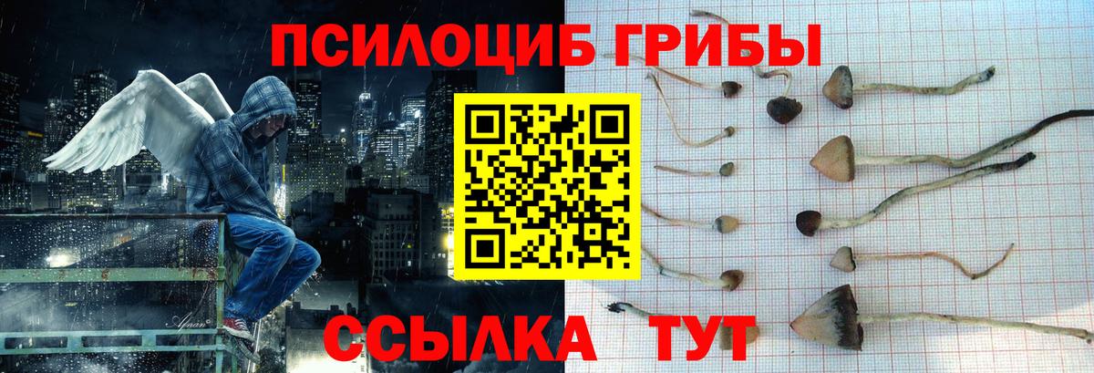 Псилоцибиновые грибы Psilocybine cubensis  Вход с VPN  Городец  Псилоцибиновые грибы мухоморы 