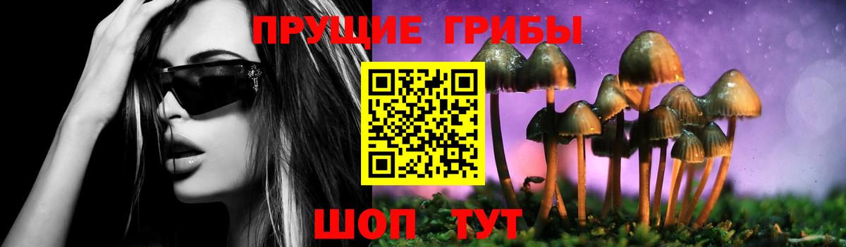 Псилоцибиновые грибы мухоморы Городец