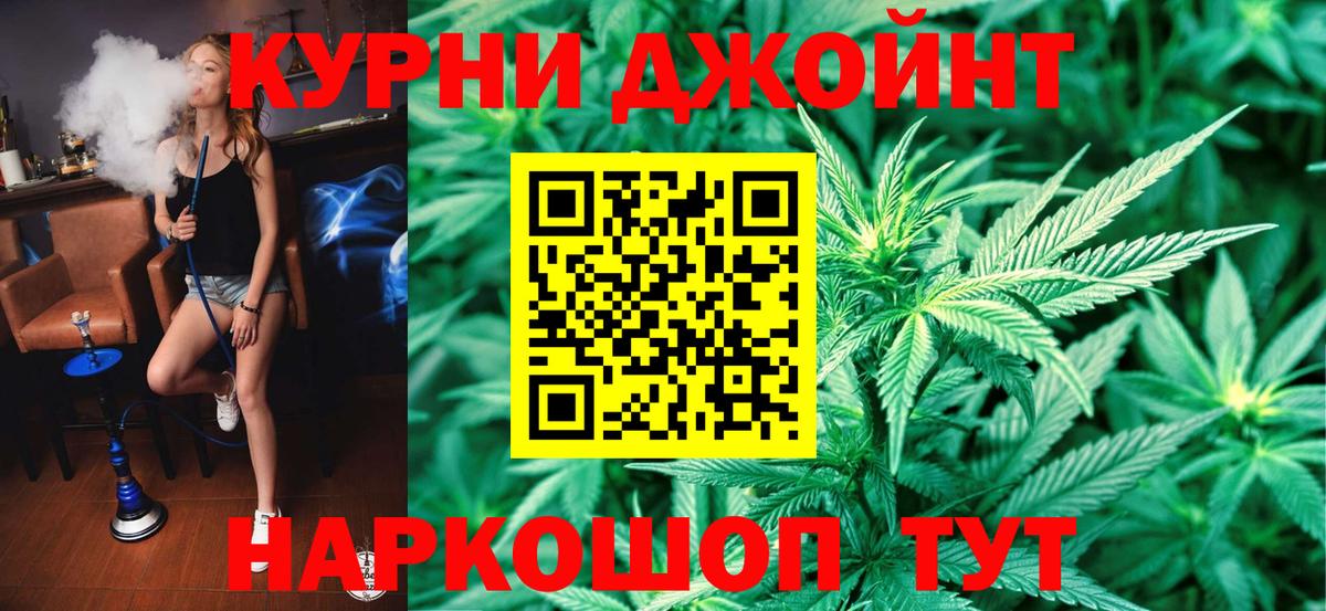 Каннабис OG Kush Городец